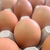 20 EXTRA LARGE EGGS
