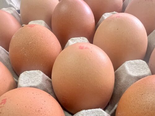 20 EXTRA LARGE EGGS